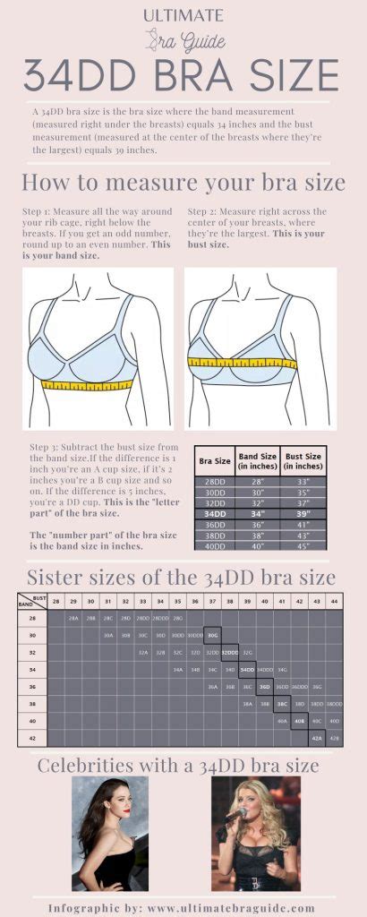 34ddd|DDD Cup Breasts and Bra Size [Ultimate Guide]